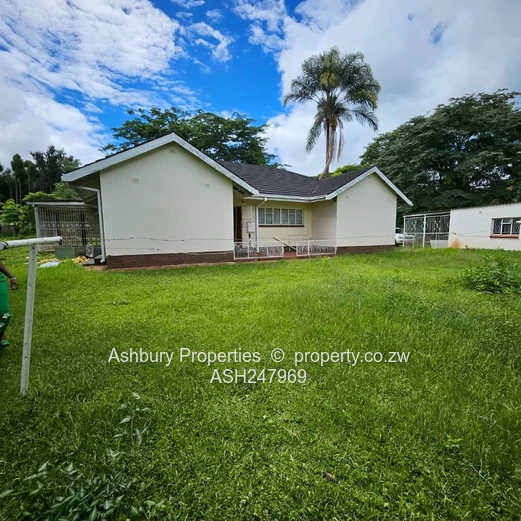 Compact Cosy Rental House Readily Available (Sole Mandate)