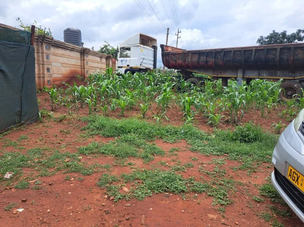 Stands & Residential Land