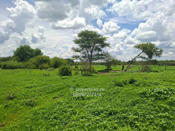 Beatrice Farm for sale