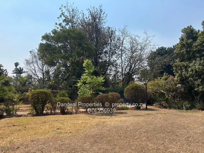 Gunhill Office — 600m² on 4,200m² with Borehole & Gardens
