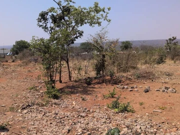 Commercial & Industrial Land