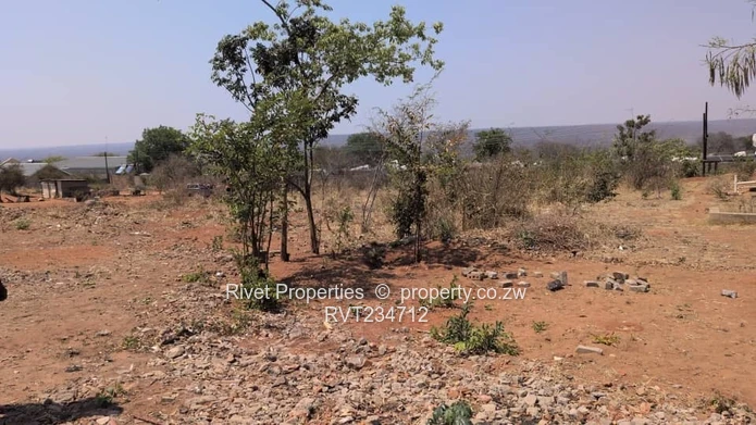 Commercial Stands For Sale