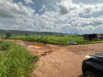 Farm & Agricultural Land