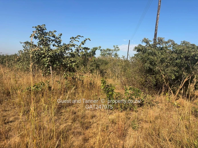 Nyabira Lilfordia Phase 3 Stand For Sale  (Sole Mandate)
