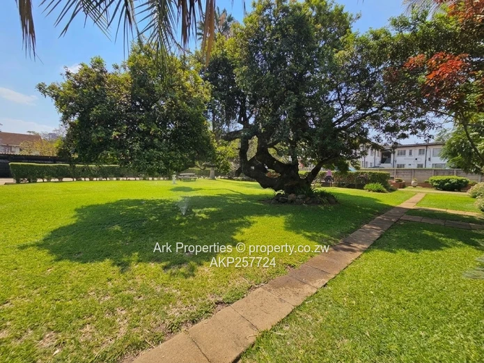 Apartment To Let In Avondale