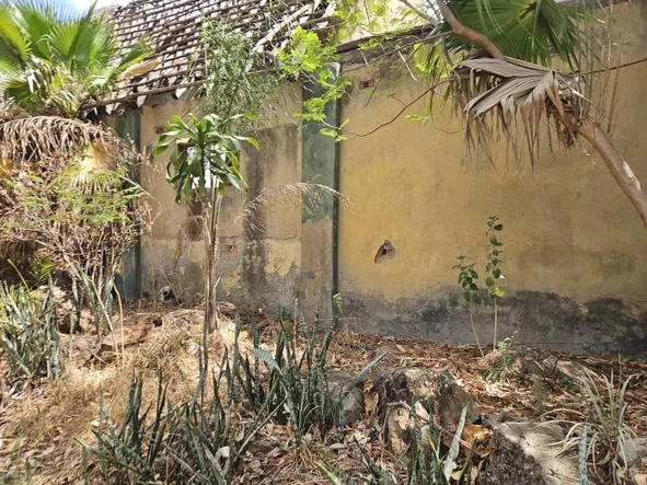 Farm & Agricultural Land