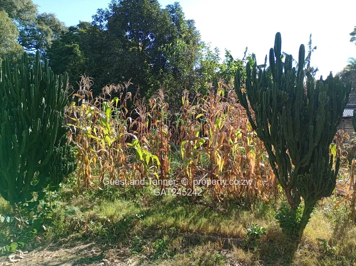 Residential Land For Sale In Mount Pleasant