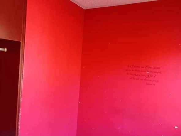 3 Bedroom Flat & Apartment