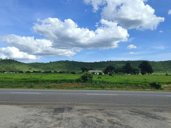 Farm & Agricultural Land