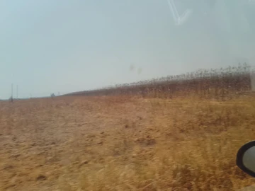 Farm & Agricultural Land