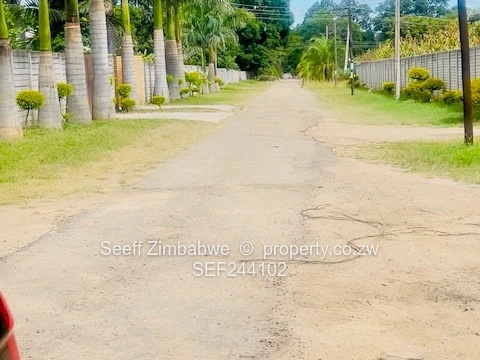 Hatfield 3,141m² Subdivision with Title Deeds land 
