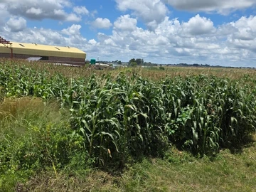 Commercial & Industrial Land