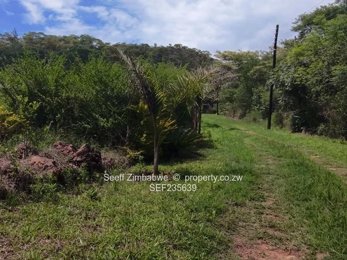 Prime Agro-Residential Property for Sale in Serene Location