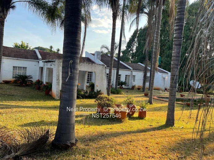 Mediterranean style family home  for sale in Greystone park