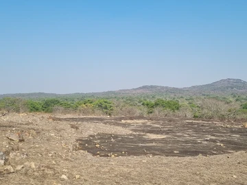 Farm & Agricultural Land