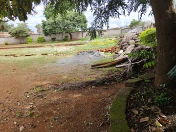 Stands & Residential Land