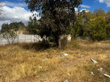 Commercial & Industrial Land