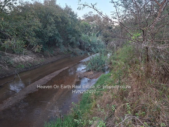 Beautiful plot for sale with a plunge dip