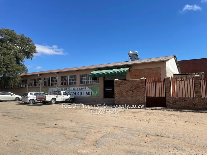 Business and Executive