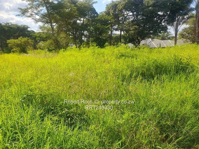 Ready to Build Stand