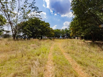 Land