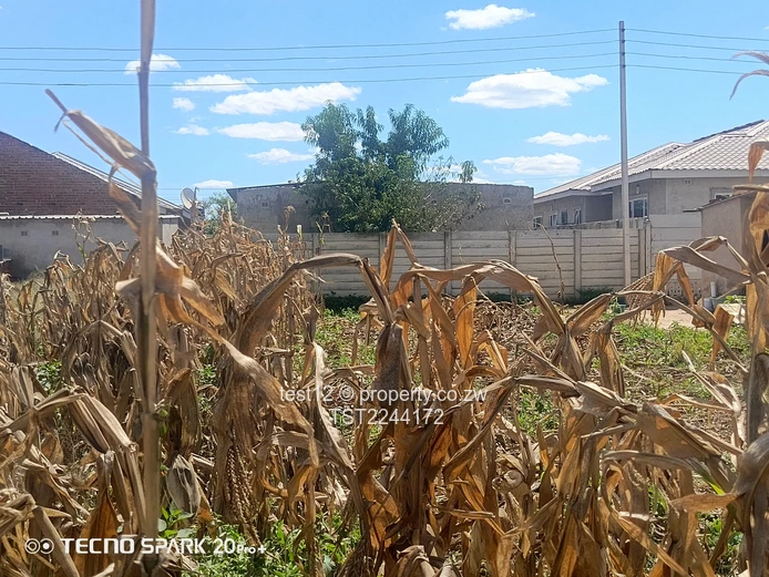 Budiriro stand for sale  (Sole Mandate)