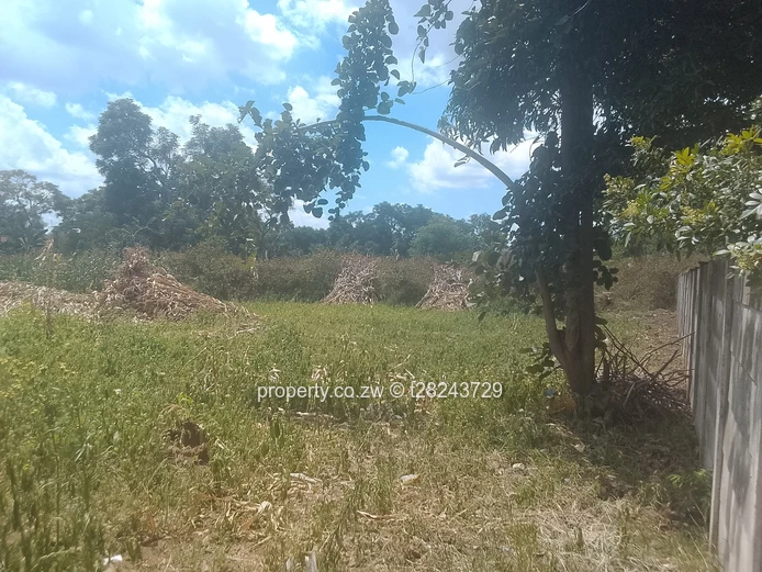 Mabelreign Built Up Area (Sole Mandate)