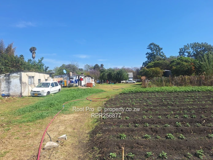 Greendale Avenue - Redevelopment Opportunity!