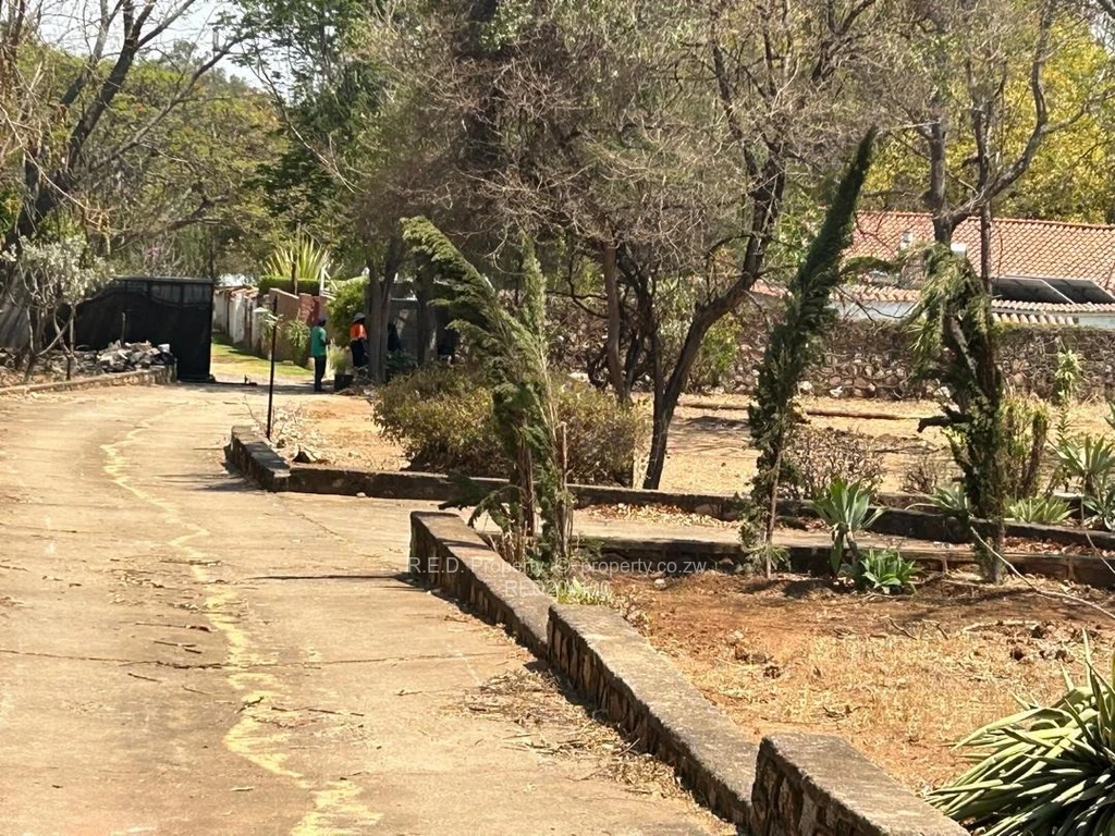 Land for Sale in Hillside RED204100