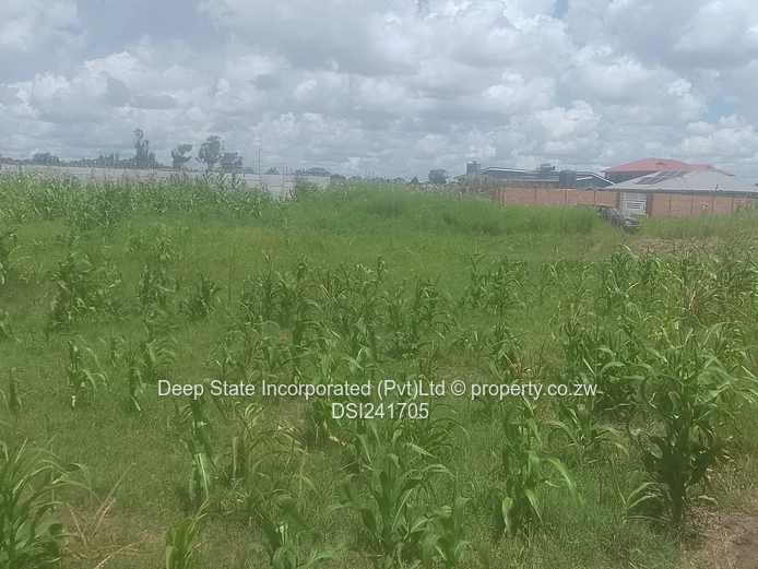 Avonlea Stand for sale 