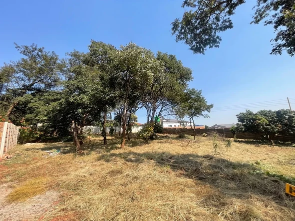 Stands & Residential Land