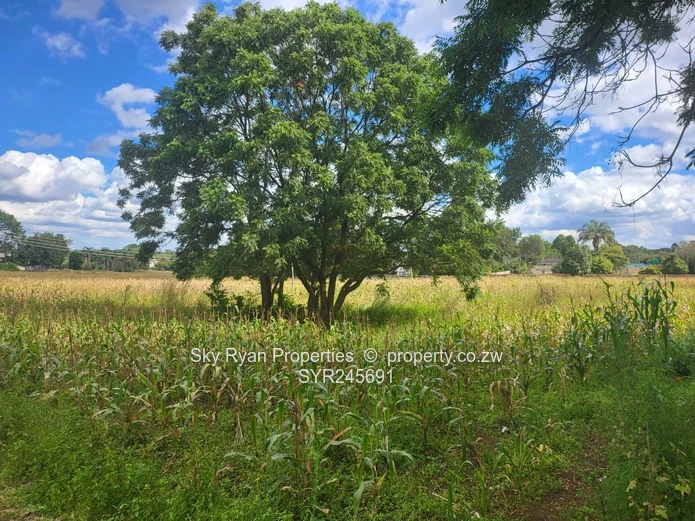 8 Stands For Sale In Borowdale