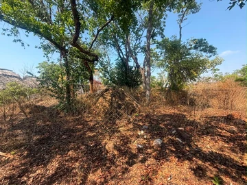 Land