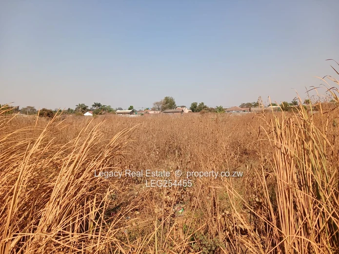 1.2ha Greendale Land — Subdivision & Road Frontage with 2 Boreholes (Sole Mandate)