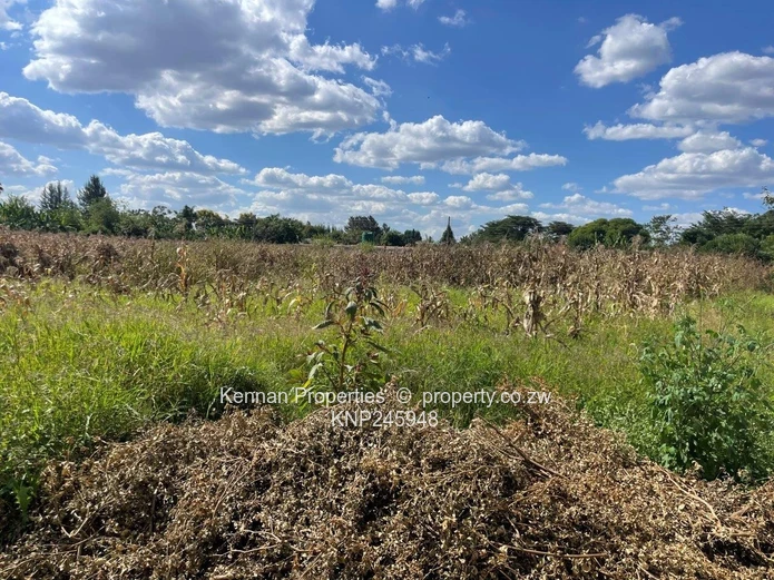Old Malborough Stand For Sale  