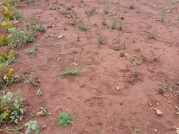 Commercial & Industrial Land