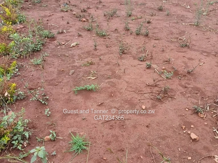 Industrial Land For Sale In Beatrice Township