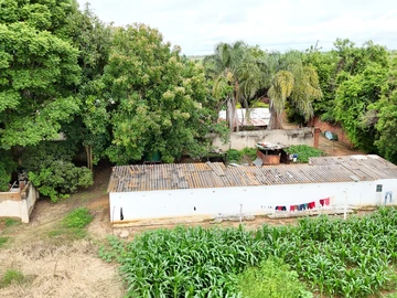 Farm & Agricultural Land