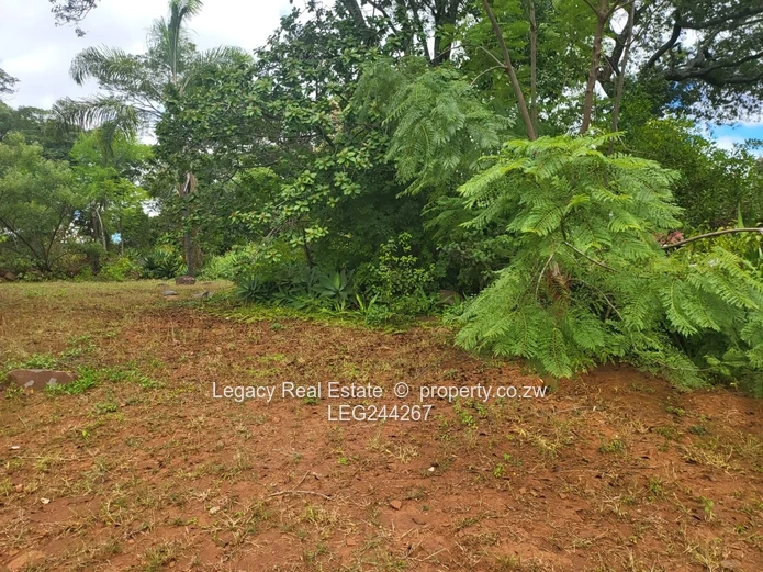 Greystone Park Stand For Sale With Borehole