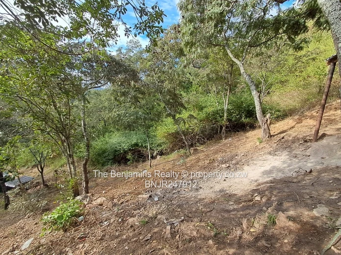 Scenic views in Glen Lorne