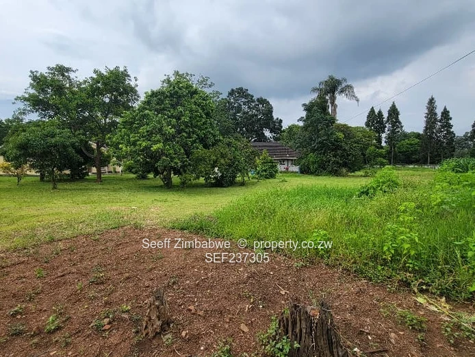 Marlborough: 4-Bed Home on 9070m² with Borehole & Gardens