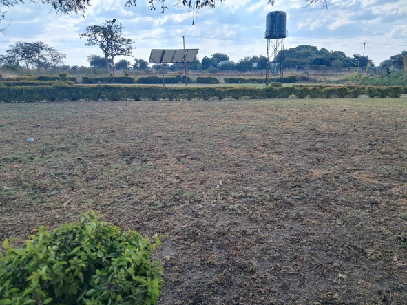 Commercial & Industrial Land