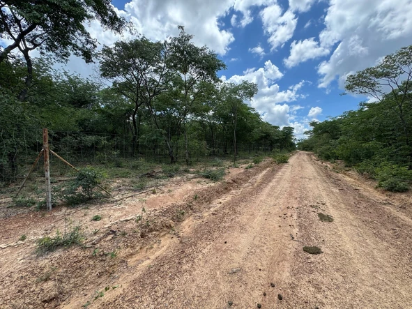 Farm & Agricultural Land