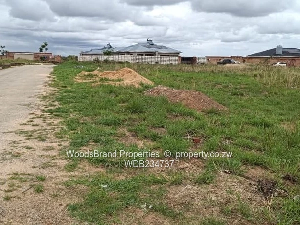 Windsor Park Ruwa Stand For Sale (Sole Mandate)