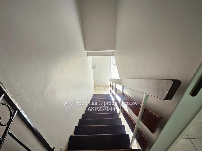 Duplex Garden Flat for Rent in Avondale