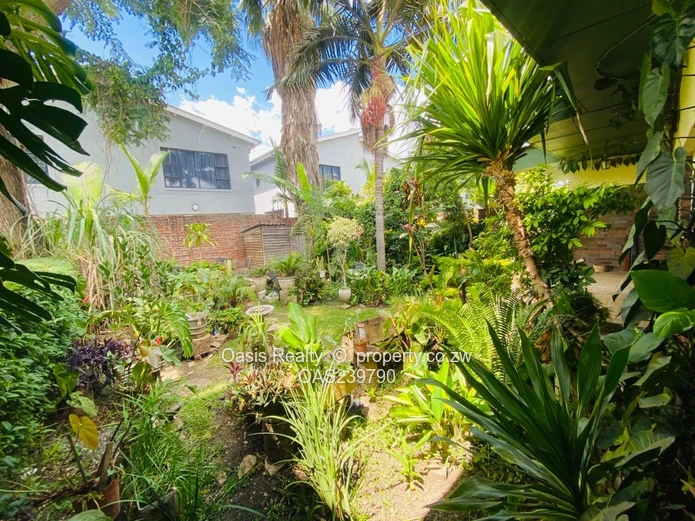 A rare opportunity to secure a neat, well-serviced garden apartment in Avondale.