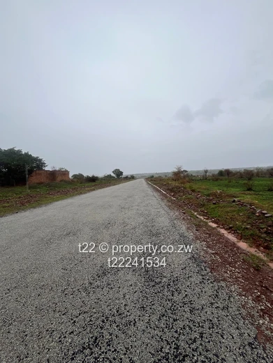 Luna Park Estate stands for sale 