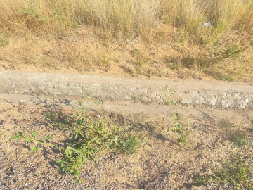 Commercial & Industrial Land