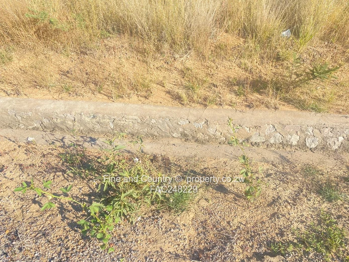 Prime 3.8-Hectare School Development Opportunity | Buena Vista, Riverside