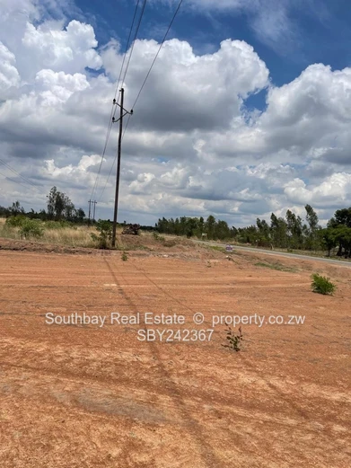 Investment Opportunity